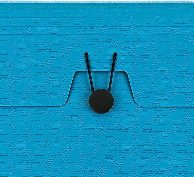 Five Star Expanding File Organizer, 6-Pocket Accordian File Organizer, Bungee Closure, Holds 8-1/2" x 11" Paper, Tidewater Blue (350100C-ECM)