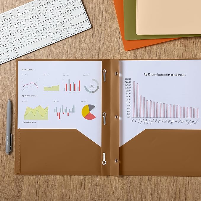 Mr. Pen- Plastic Folders with Pockets and Prongs, 5 Pack, Letter Size, Autumn Earth Colors, Flexible Plastic Folders with Prongs