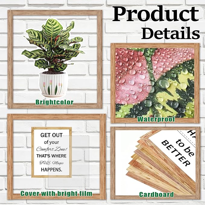 Motivational Bookshelf Bulletin Board Set – Plant Themed Reading Classroom Decor – Inspirational Library Cutouts for Back to School Bulletin Boards & Wall Displays