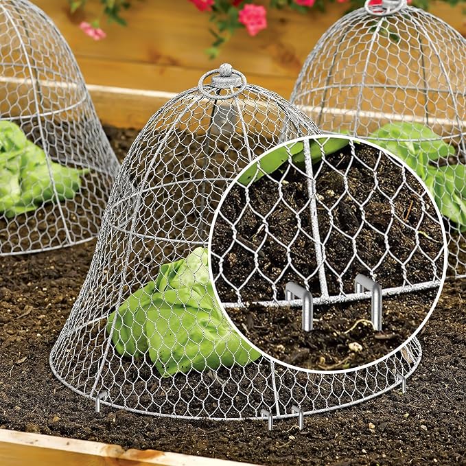 Landscape Staples 12 Inch Galvanized Anti-Rust Garden Stake 11 Gauge | 25 Pack Sod Lawn Yard Ground Pins for Fence, Chicken Wire, Weed Barrier Fabric, Outdoor Decorations, Irrigation Tubing Hose