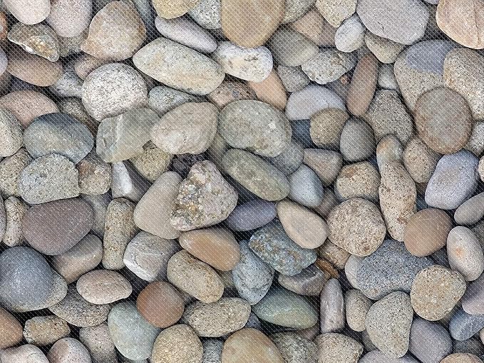Teacher Created Resources Fun Size Rock Pebbles Better Than Paper Bulletin Board Roll (TCR77468)