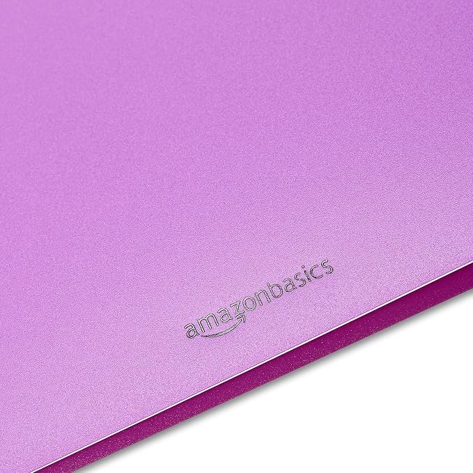 Amazon Basics Plastic 3 Hole Punch Folders with 2 Pockets for Documents, Letter Size 8.5 x 11 inches, School Supplies, Assorted Colors, Pack of 12