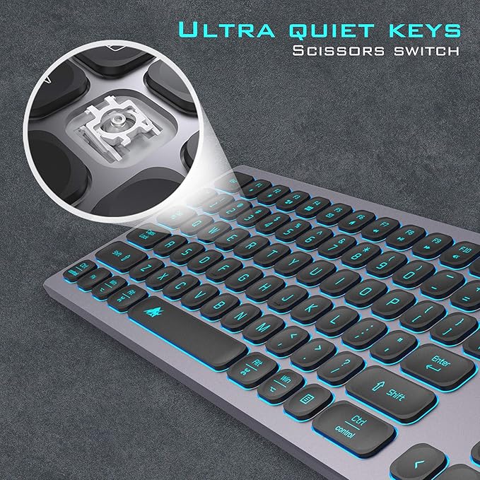 Aluminum Quiet Wired Slim Chiclet Keyboard - Compatible with Apple iMac, MacBook, Mac and PC, USB Numeric Keypad RGB Lighted Key - Space Gray
